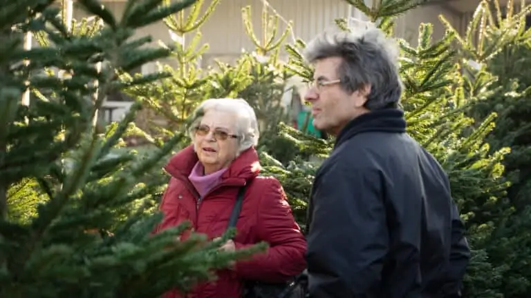 Vorweihnachtliche Hausmesse bei viterma
